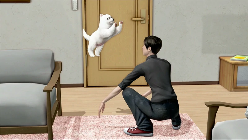 图片[6]-安卓+电脑【ADV全动态CV】都市美艳后宫 3部 步 ty模拟器玩-大壮社区