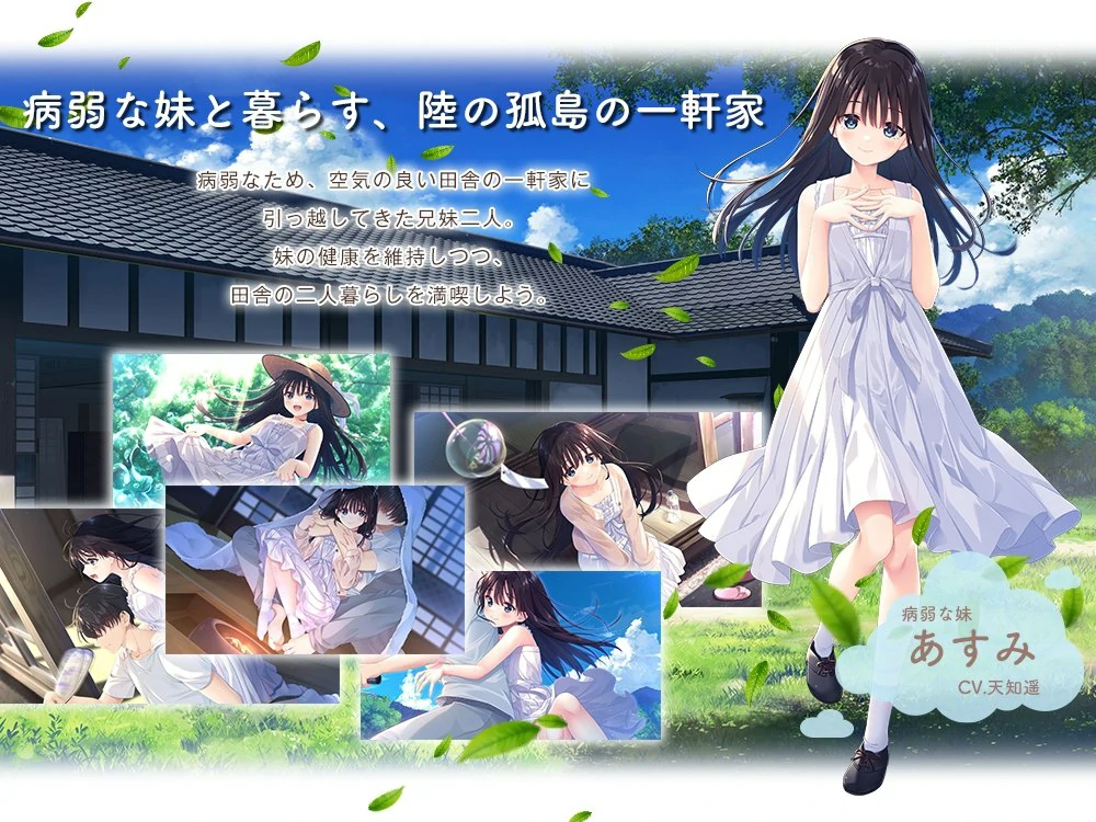 安卓+电脑【爆款RPG全CV】痴情哥哥与病弱妹妹的乡间生活 骑 ty模拟器玩-大壮社区