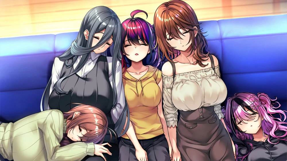 图片[11]-安卓+电脑【ADV全CV】初次恋爱指南 豪华版 骑-大壮社区