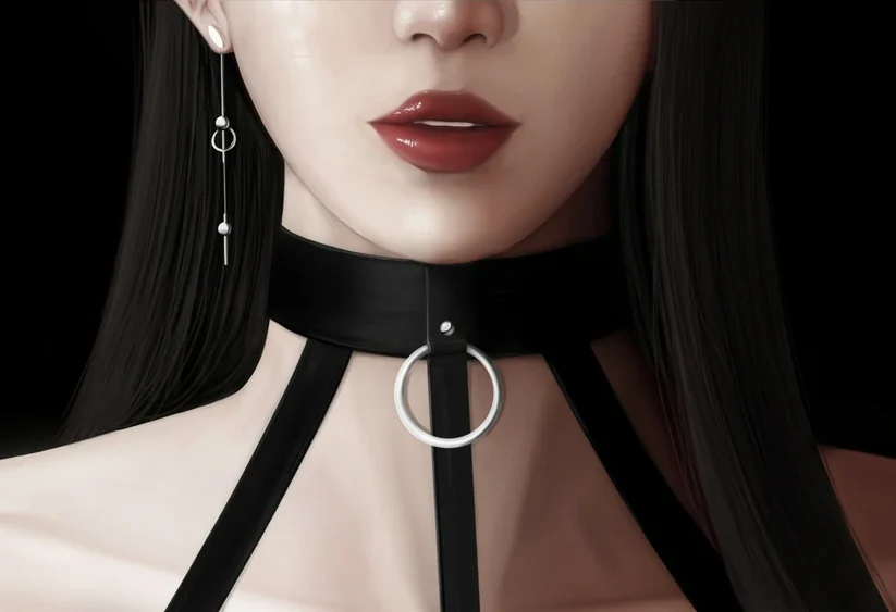 安卓+电脑【SLG动态】灰姑娘的玻璃项圈 v0.9.0 步-大壮社区