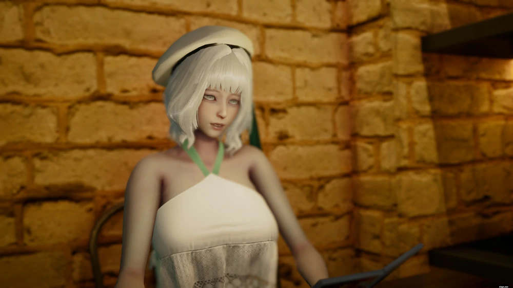 图片[11]-安卓+电脑【亚洲SLG动态】探查器v0.2.1 步-大壮社区