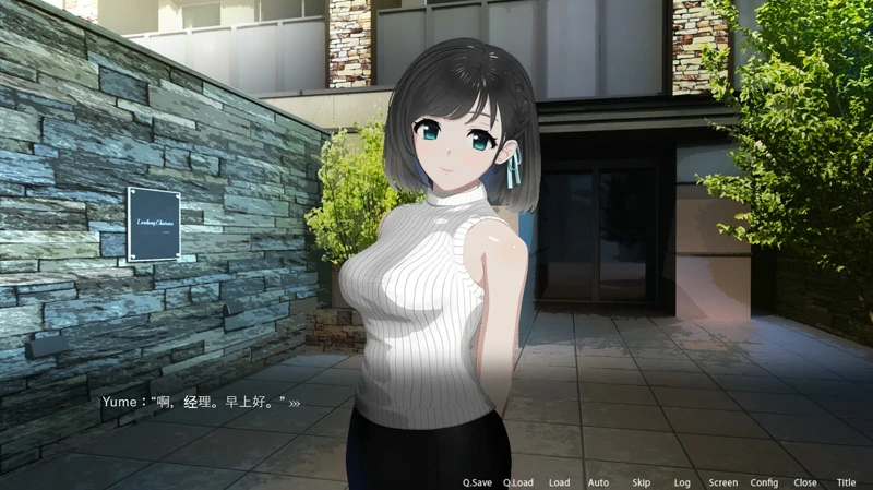 图片[2]-安卓+电脑【爆款SLG/动态】ROOM 窥视女孩私生活SLG+全DLC+特典 v2.04 ty模拟器玩-大壮社区