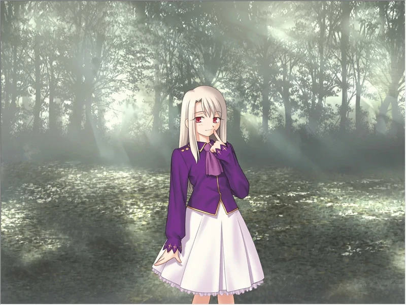 图片[2]-安卓+电脑【SLG同人】Fate Stay Night命运长夜 ty模拟器玩-大壮社区