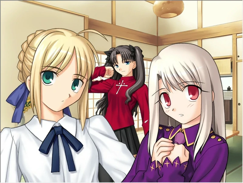 图片[5]-安卓+电脑【SLG同人】Fate Stay Night命运长夜 ty模拟器玩-大壮社区