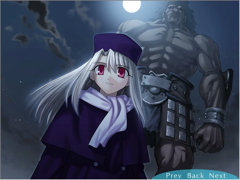 图片[14]-安卓+电脑【SLG同人】Fate Stay Night命运长夜 ty模拟器玩-大壮社区