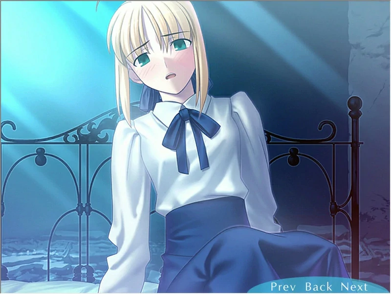 图片[16]-安卓+电脑【SLG同人】Fate Stay Night命运长夜 ty模拟器玩-大壮社区