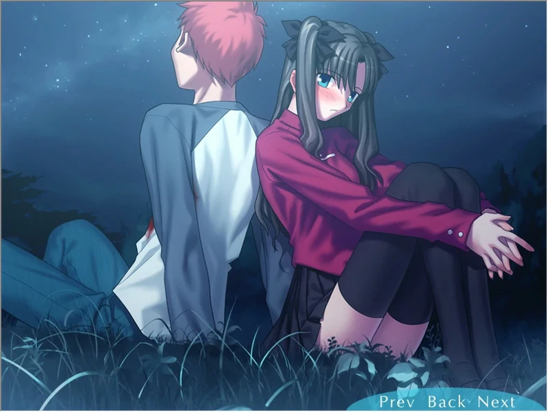 图片[17]-安卓+电脑【SLG同人】Fate Stay Night命运长夜 ty模拟器玩-大壮社区