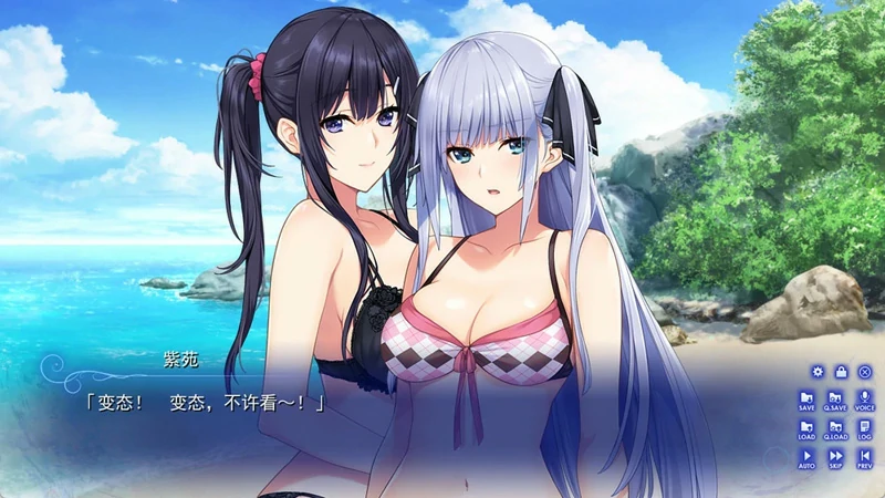 图片[7]-安卓+电脑【神作ADV动态魔改】水莲与紫苑 精翻+全CG 60fps魔改 骑 ty模拟器玩-大壮社区