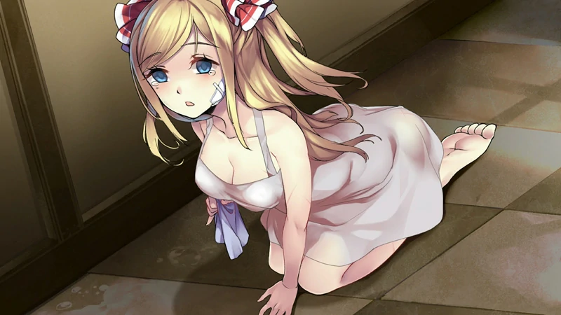 图片[1]-安卓+电脑【互动SLG】奈的日记 骑-大壮社区