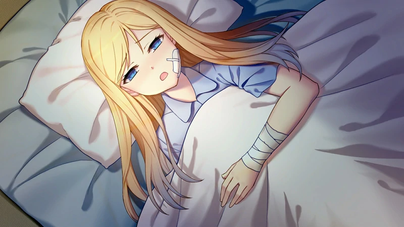 图片[9]-安卓+电脑【互动SLG】奈的日记 骑-大壮社区