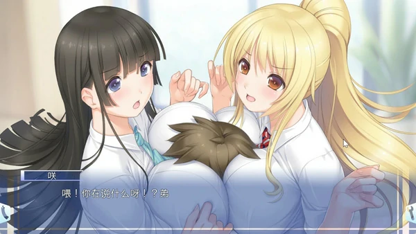 图片[2]-电脑版【ADV动态CV】姐姐我什么都可以为你做哦 全CG存档 骑-大壮社区