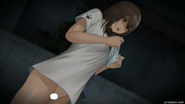 图片[24]-安卓+电脑【神作探索SLG/动态】归途累之夜 完结版-大壮社区