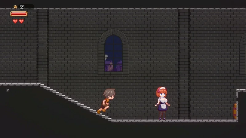 图片[8]-安卓+电脑【像素ACT RPG动态】魅魔世界的迷途人v1.0.1 步-大壮社区