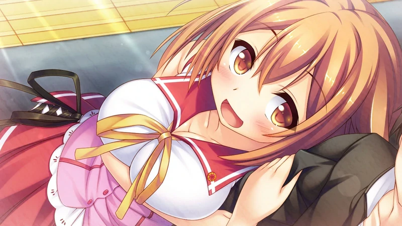 图片[9]-安卓+电脑【日系ADV】女子校生不可能那么喜欢吃旱 骑 ty模拟器玩-大壮社区