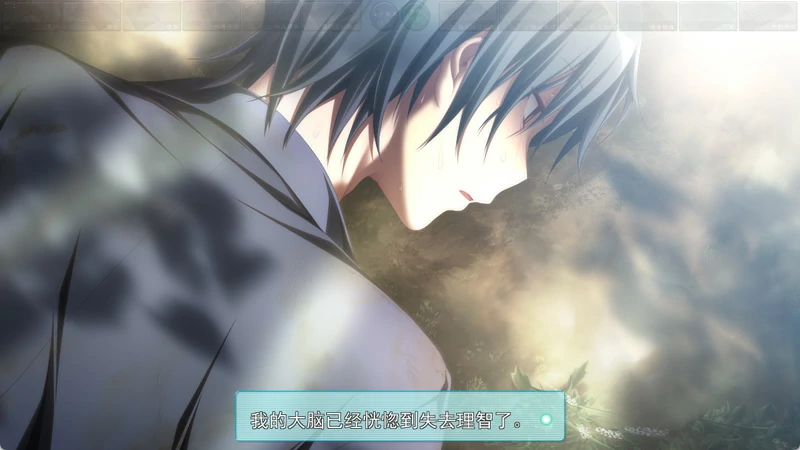 图片[5]-安卓+电脑【神作ADV CV】天津罪 全CG存档 步-大壮社区