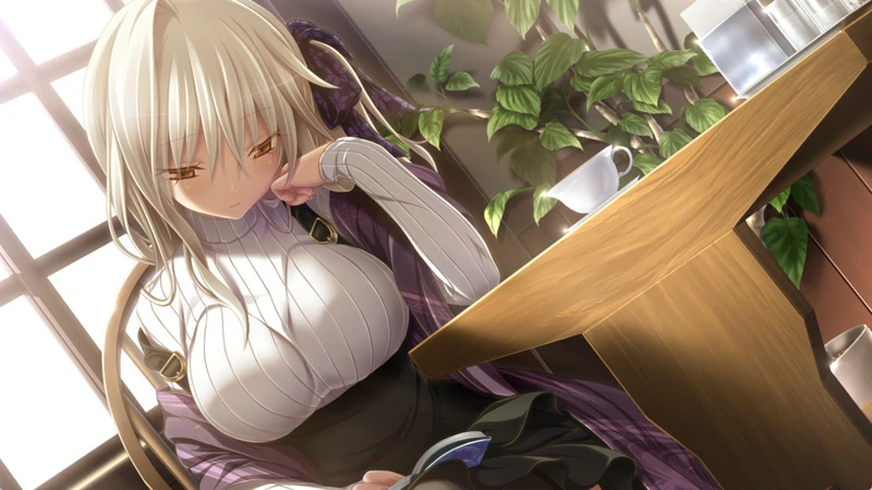 图片[19]-安卓+电脑【神作ADV CV】天津罪 全CG存档 步-大壮社区