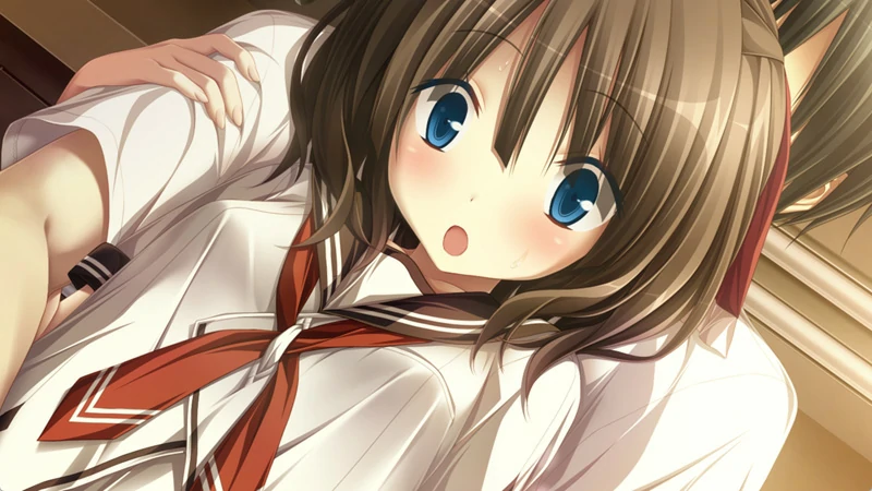 图片[22]-安卓+电脑【神作ADV CV】天津罪 全CG存档 步-大壮社区