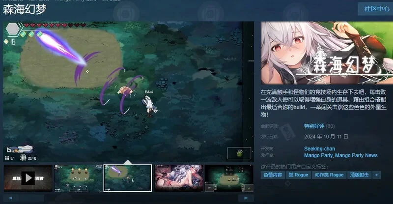 图片[2]-电脑版【像素ACT动态】森海幻梦 Endless forest dream v1.1.2 全CG存档【0.9G】步-大壮社区