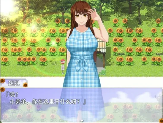 安卓+电脑【RPG动态小马拉大车】我秘密的暑假时光2 步 joi模拟器玩-大壮社区