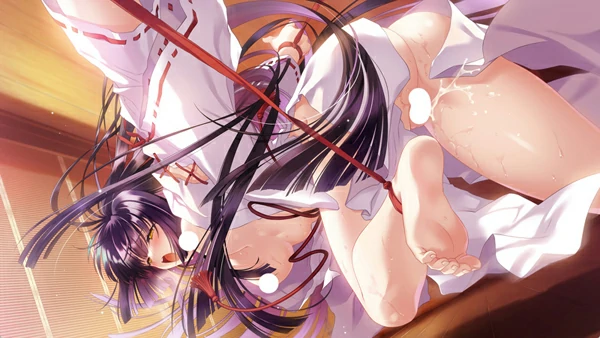 图片[24]-电脑版【精品ADV启蒙大作/全CV】无颜之月-待宵双椿 全回想 骑-大壮社区