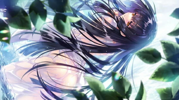 图片[29]-电脑版【精品ADV启蒙大作/全CV】无颜之月-待宵双椿 全回想 骑-大壮社区