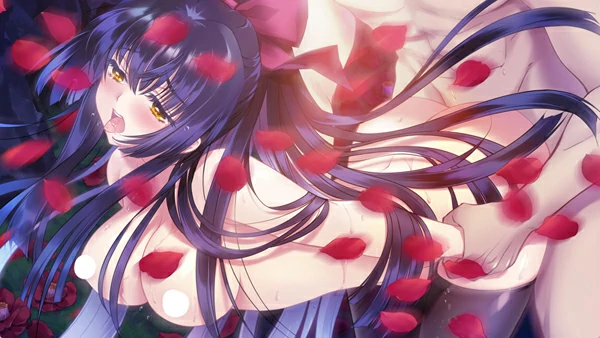 图片[35]-电脑版【精品ADV启蒙大作/全CV】无颜之月-待宵双椿 全回想 骑-大壮社区