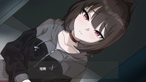 电脑版【像素ACT动态全CV】欠债我捡到了一个离家出走的JK V1.1 官中+存档 步-大壮社区