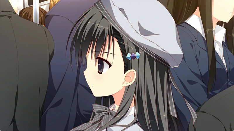 图片[2]-安卓+电脑【日系ADV全CV】她的圣域1.0 步-大壮社区