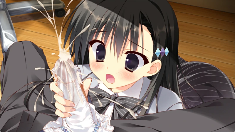 图片[5]-安卓+电脑【日系ADV全CV】她的圣域1.0 步-大壮社区