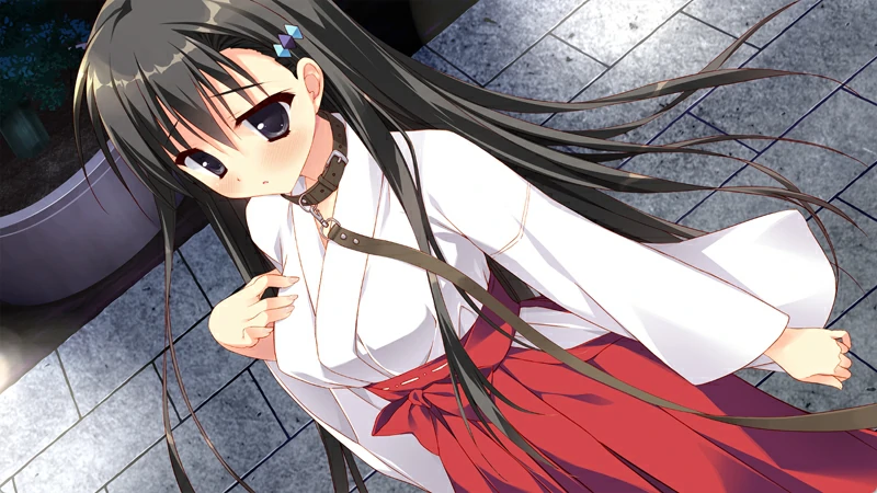 图片[11]-安卓+电脑【日系ADV全CV】她的圣域1.0 步-大壮社区